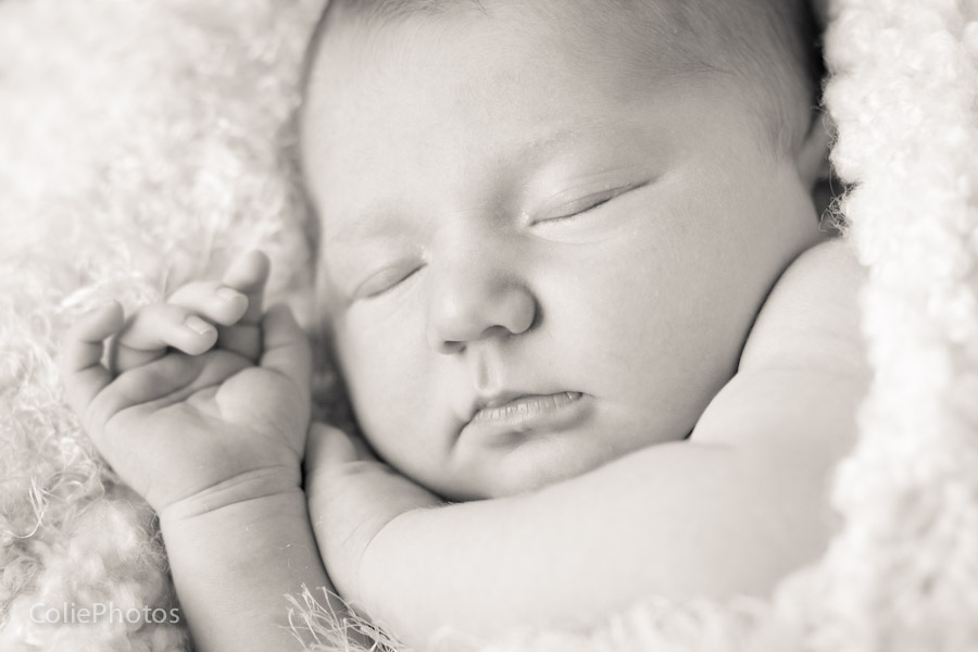 Holly Ridge, NC newborn photographer