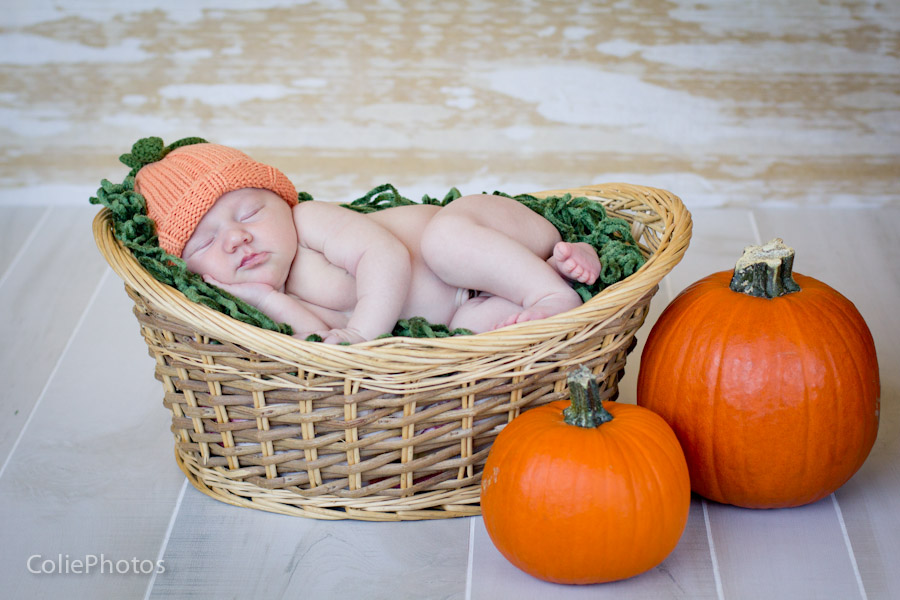 Holly Ridge, NC newborn photographer