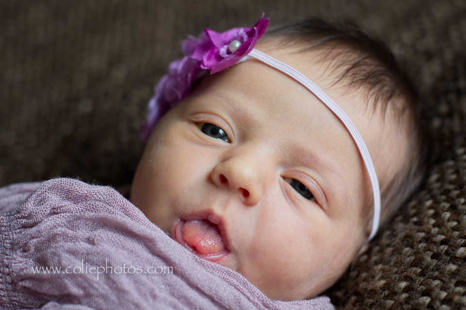 newborn photography