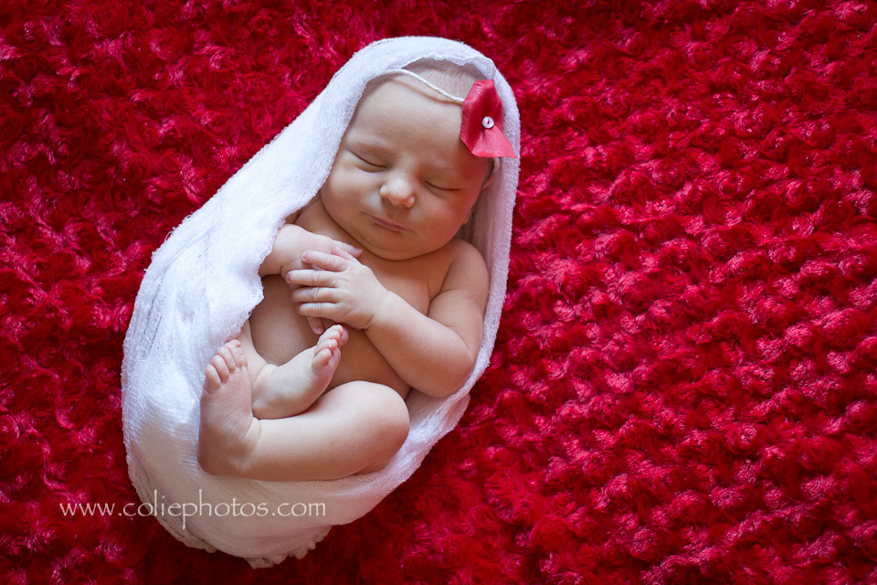 Sneads Ferry NC newborn photography