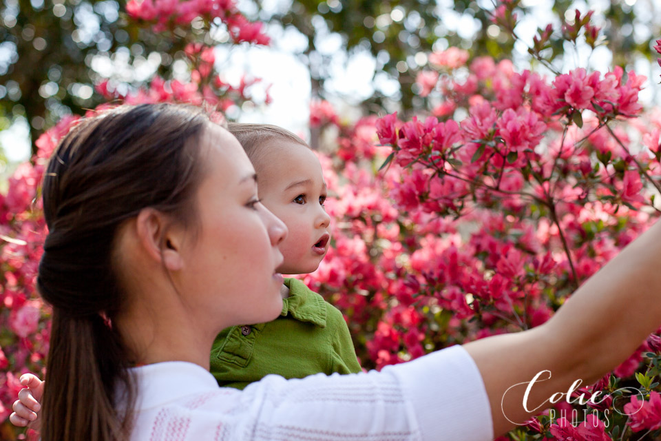 Wilmington NC family photography