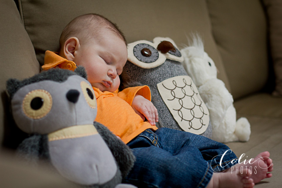 newborn and family custom photography