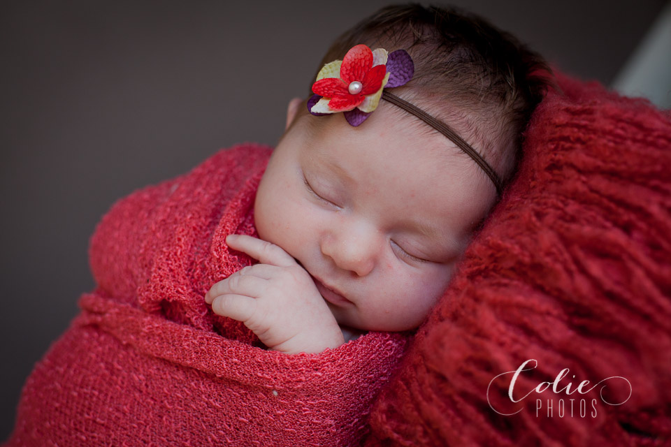 Jacksonvillle, NC newborn photographer