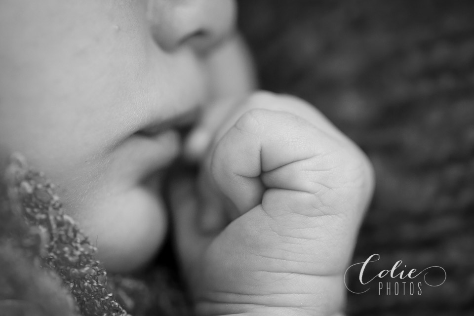 Jacksonvillle, NC newborn photographer