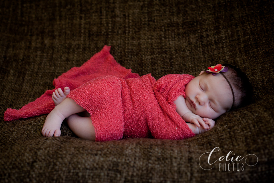 Jacksonvillle, NC newborn photographer