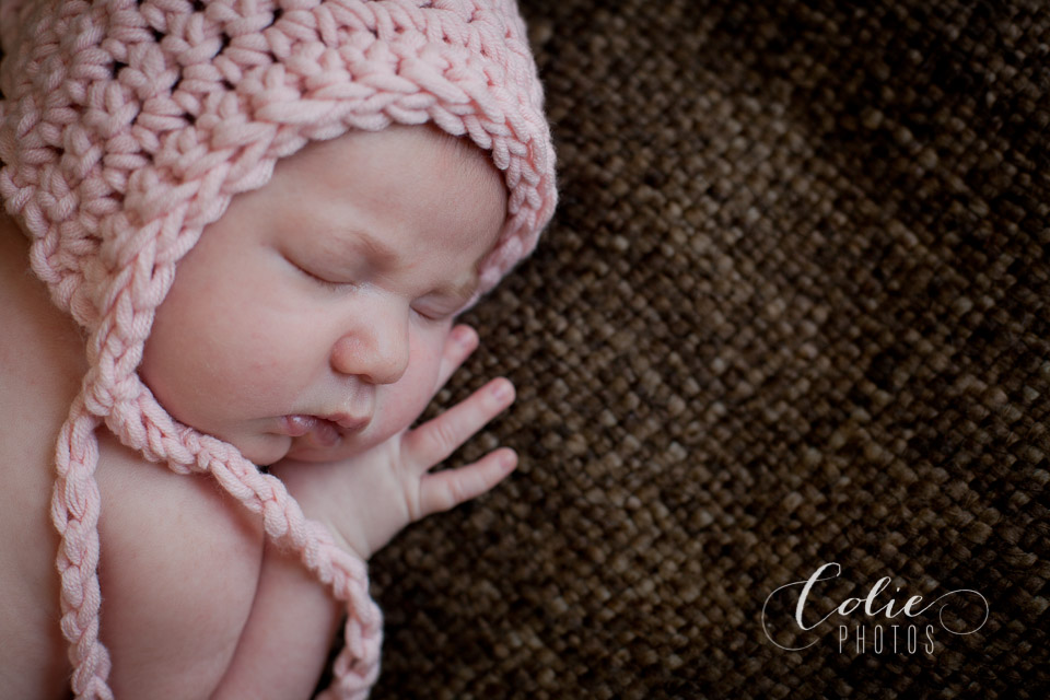 Jacksonvillle, NC newborn photographer