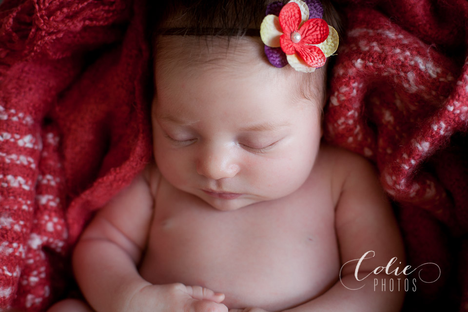 Jacksonvillle, NC newborn photographer