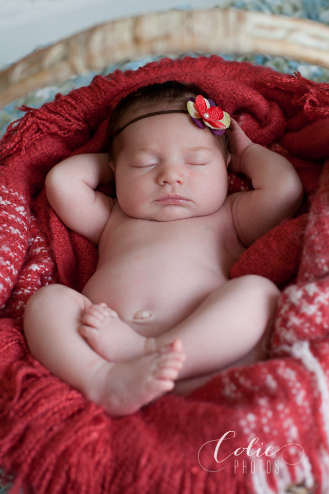 Jacksonville, NC newborn photographer