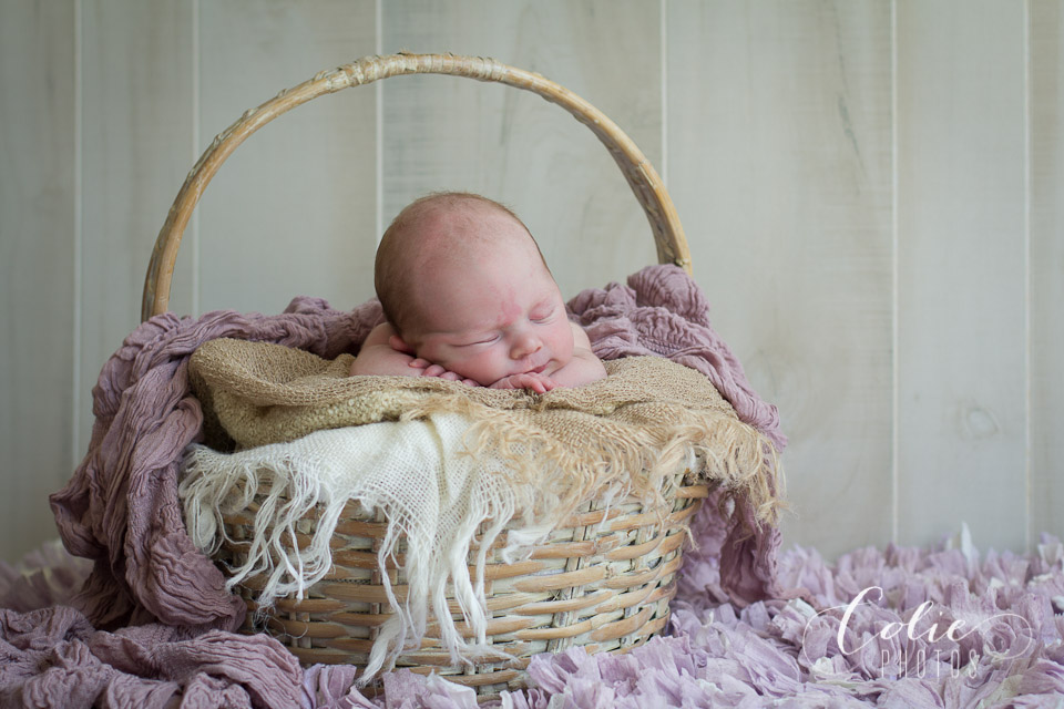 Jacksonville NC Newborn photographer