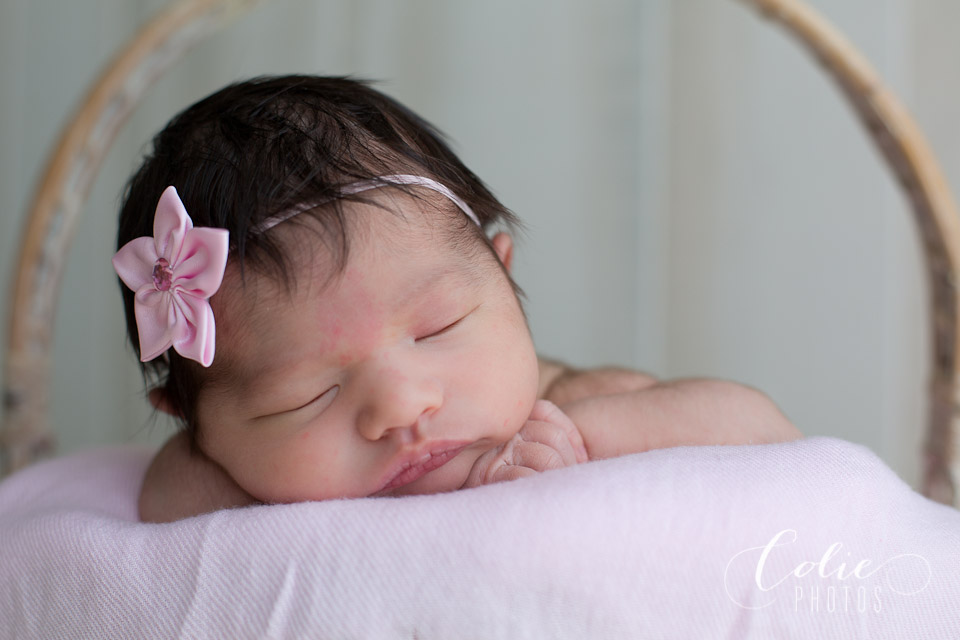 newborn photographer jacksonville nc