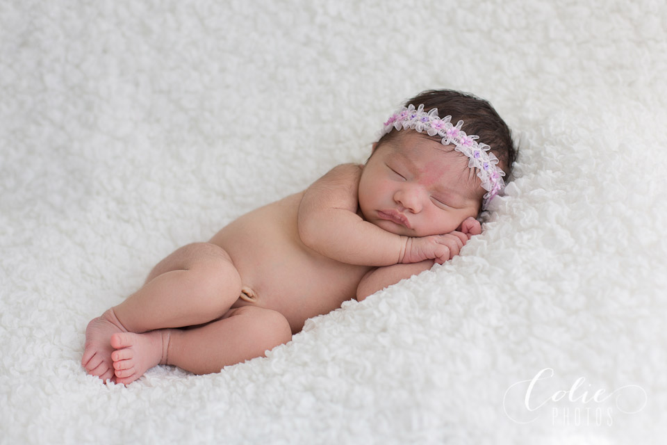newborn photographer jacksonville nc