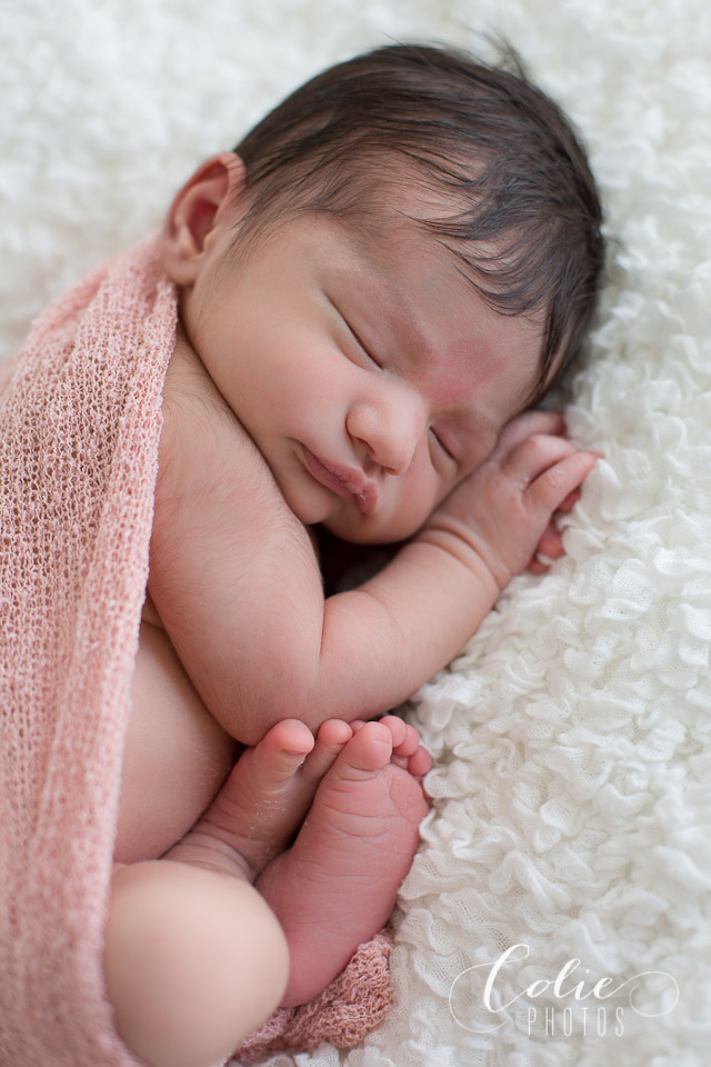 newborn photographer jacksonville nc