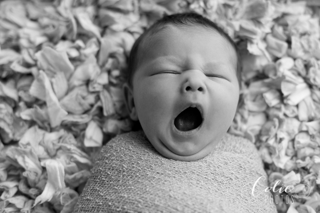 Jacksonville NC newborn photographer