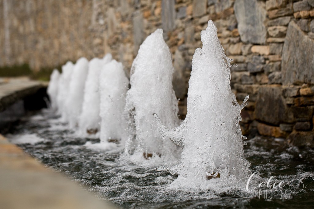 Greenville, SC children's photographer