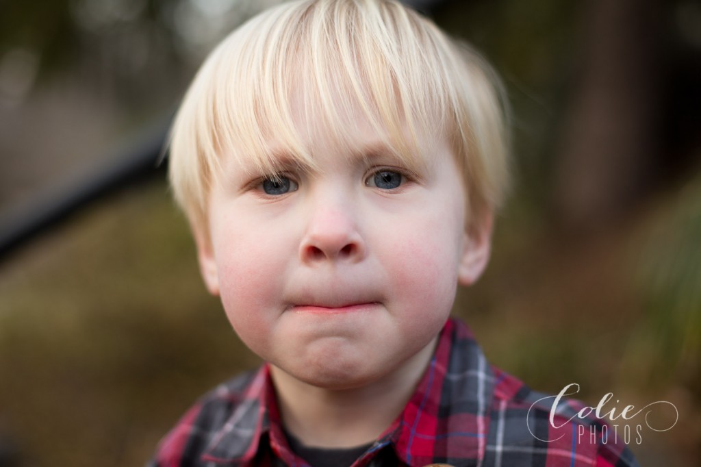 Greenville, SC family photographer