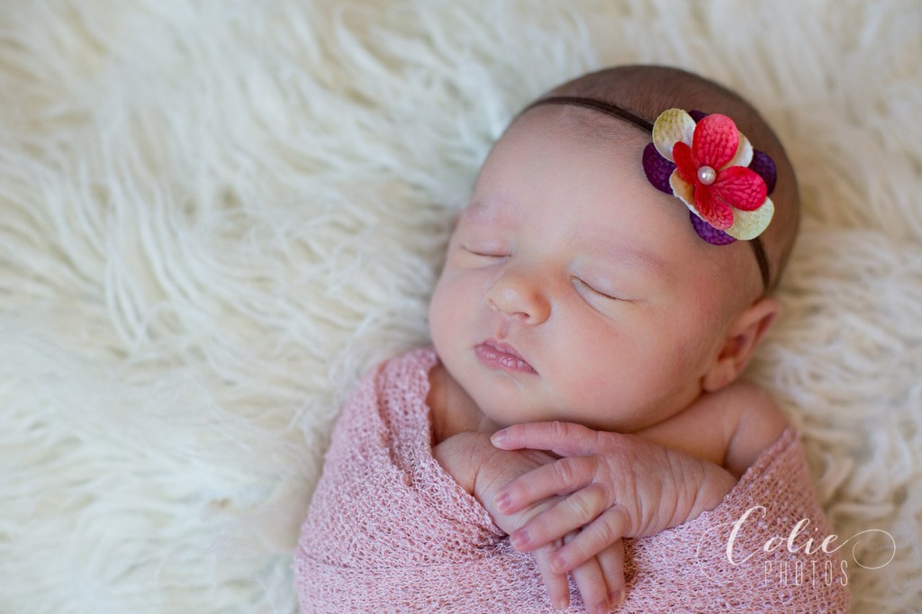 Jacksonville NC newborn photographer
