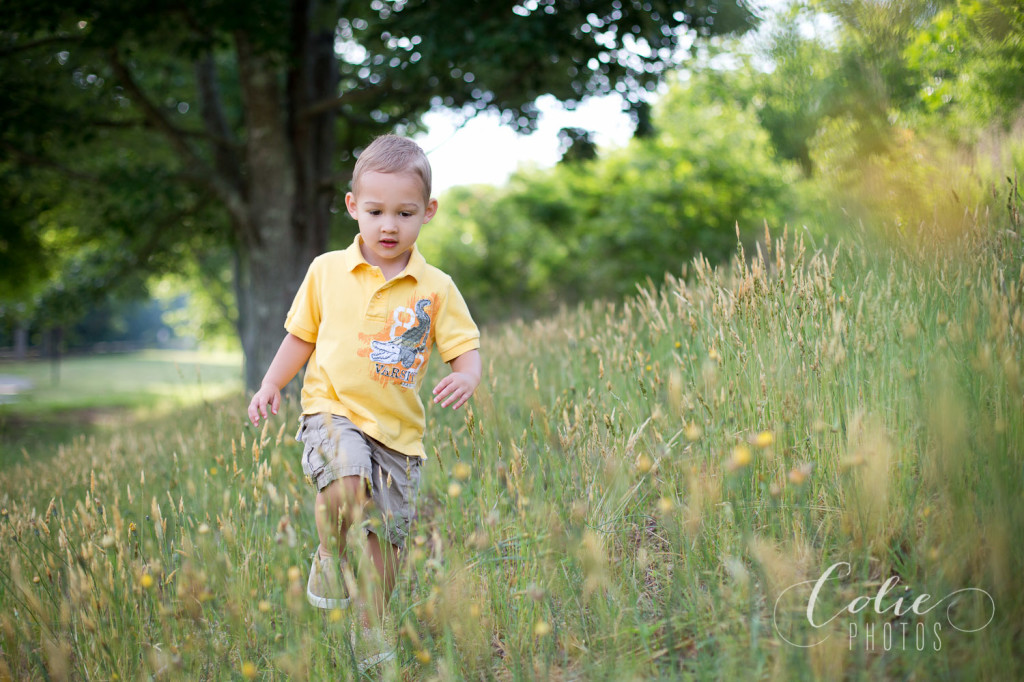 Greenville, SC baby photographer