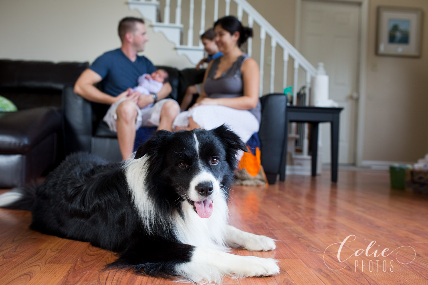 Wilmington NC photographer-13