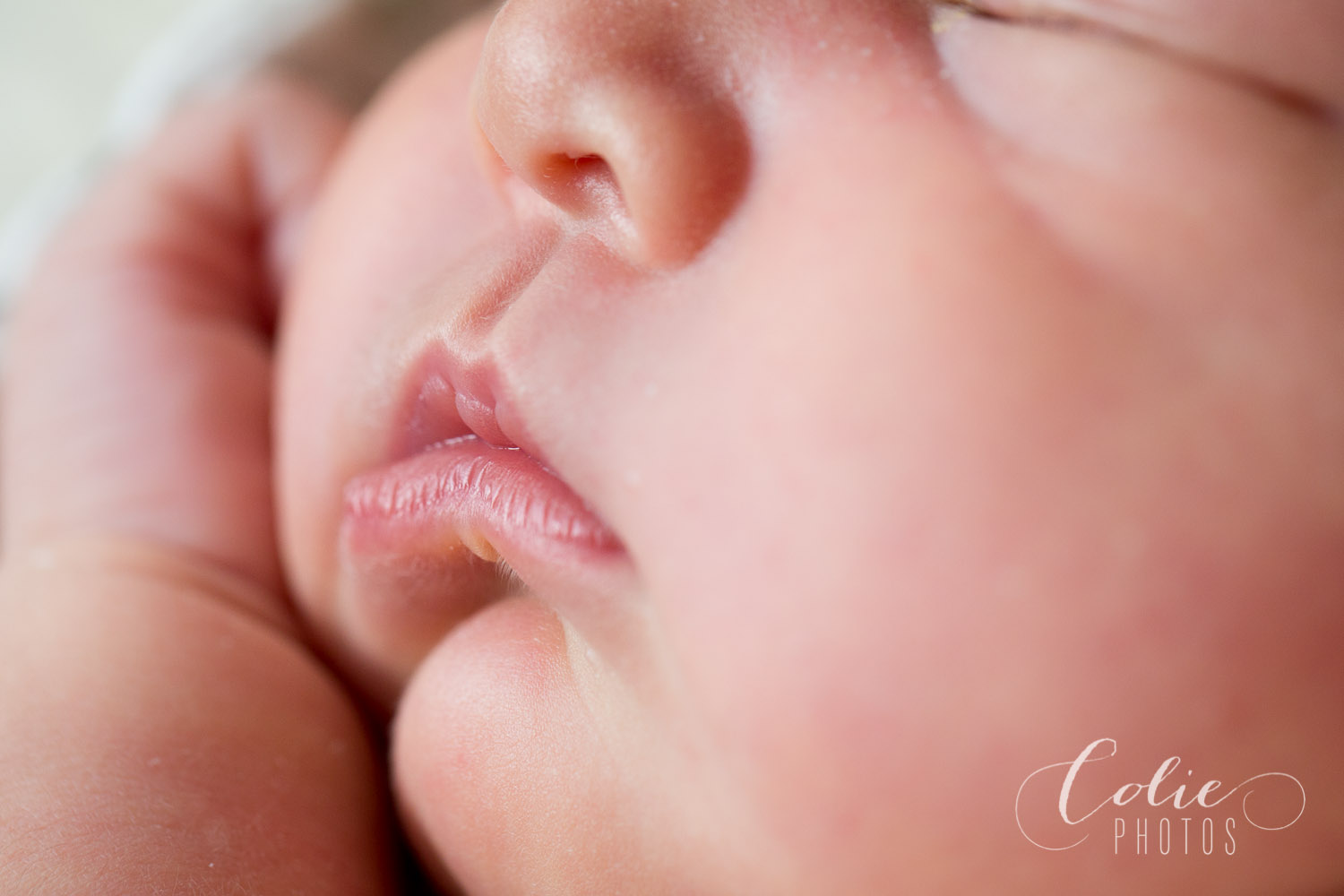 Wilmington NC photographer-3