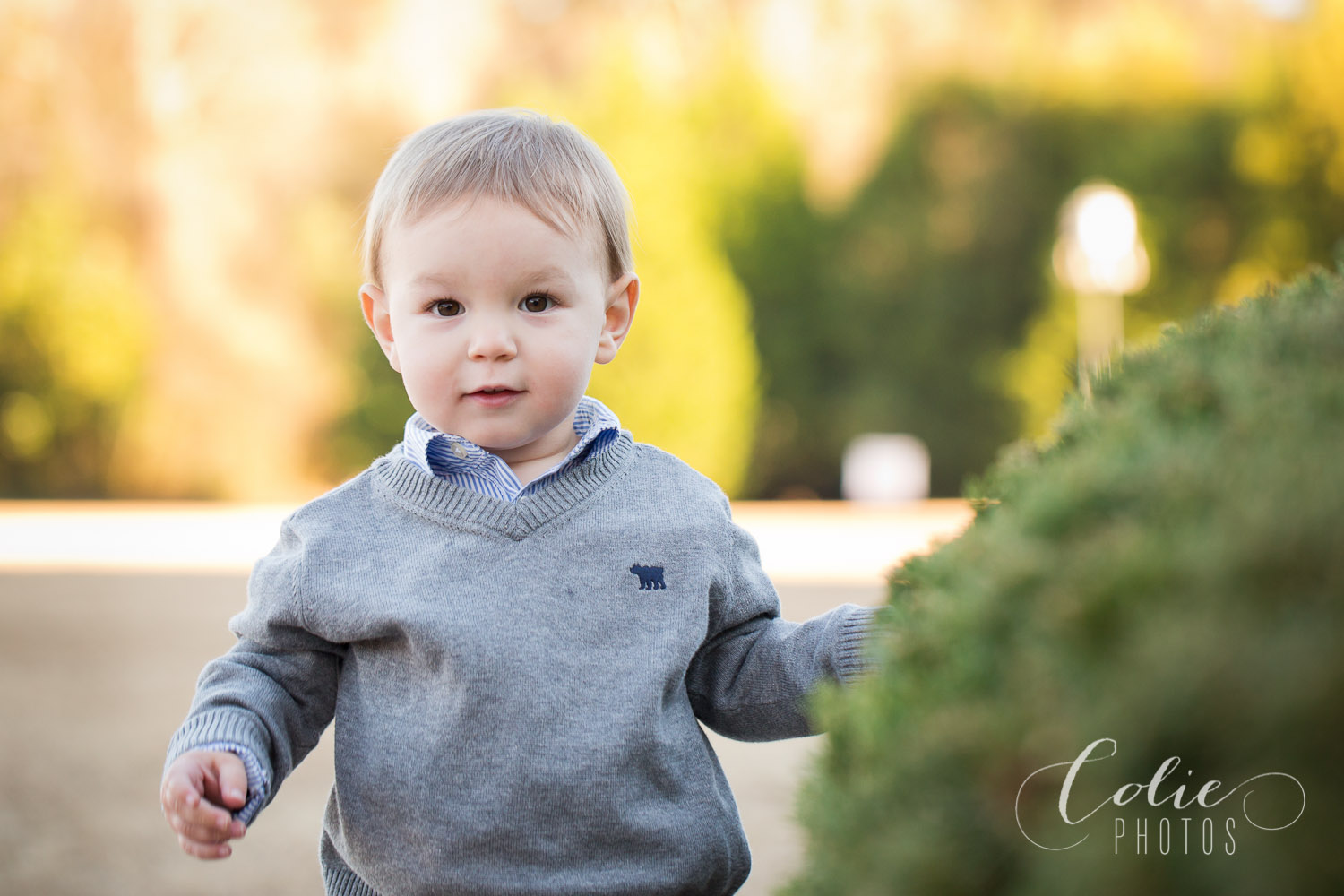 Wilmington NC photographer