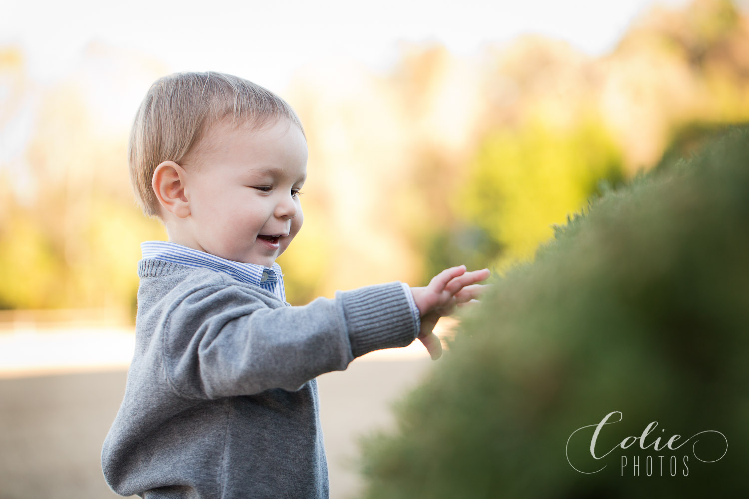 Wilmington NC photographer