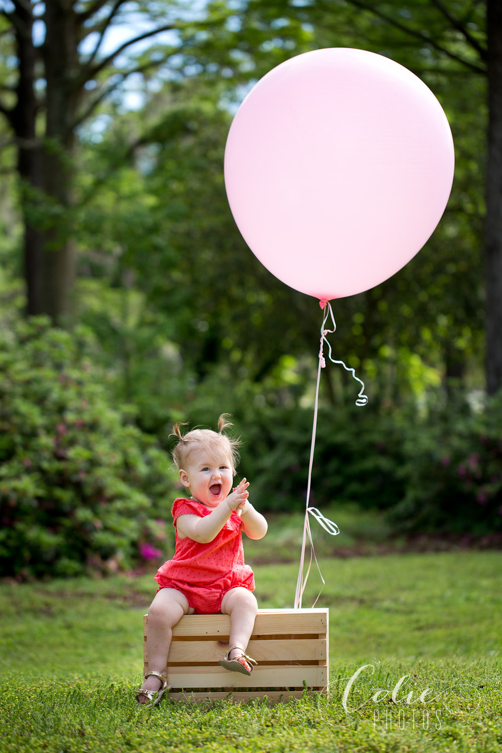 Wilmington, NC photographer-04-11