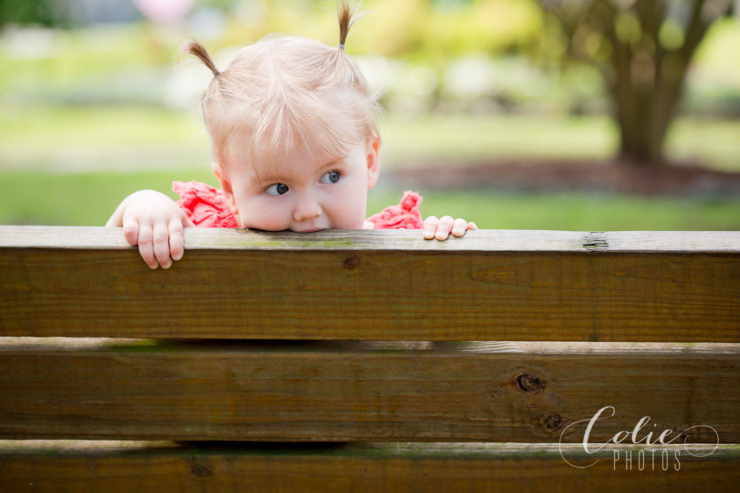 Wilmington, NC photographer-04-35