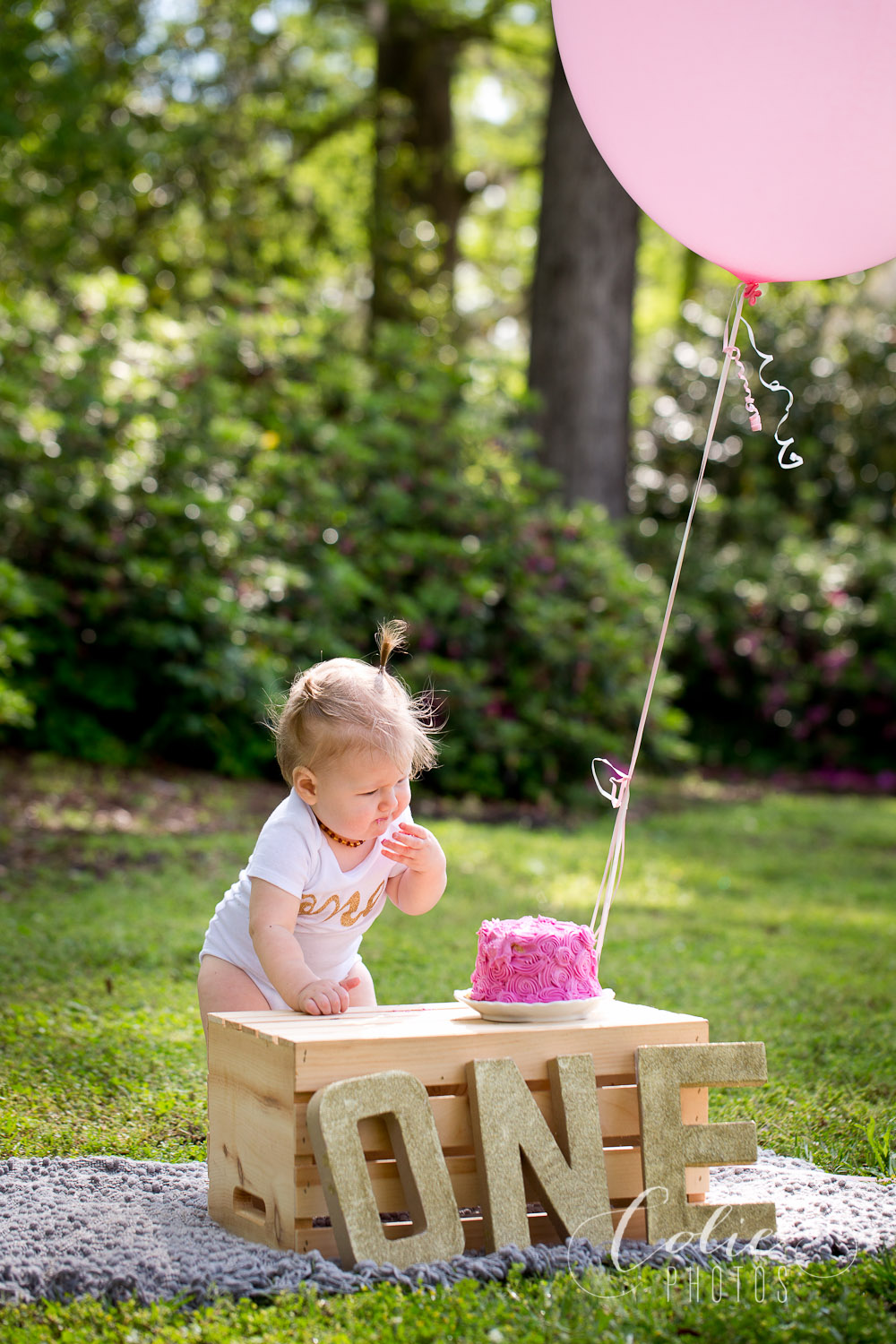 Wilmington, NC photographer-04-52