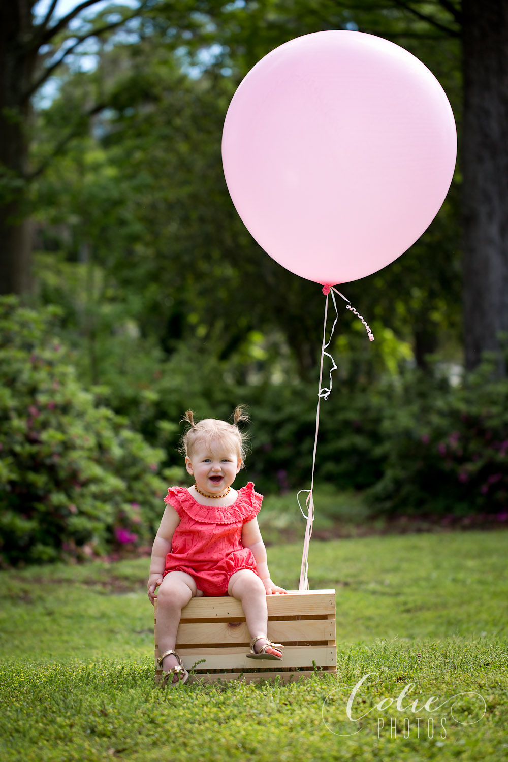 Wilmington, NC photographer-04-7