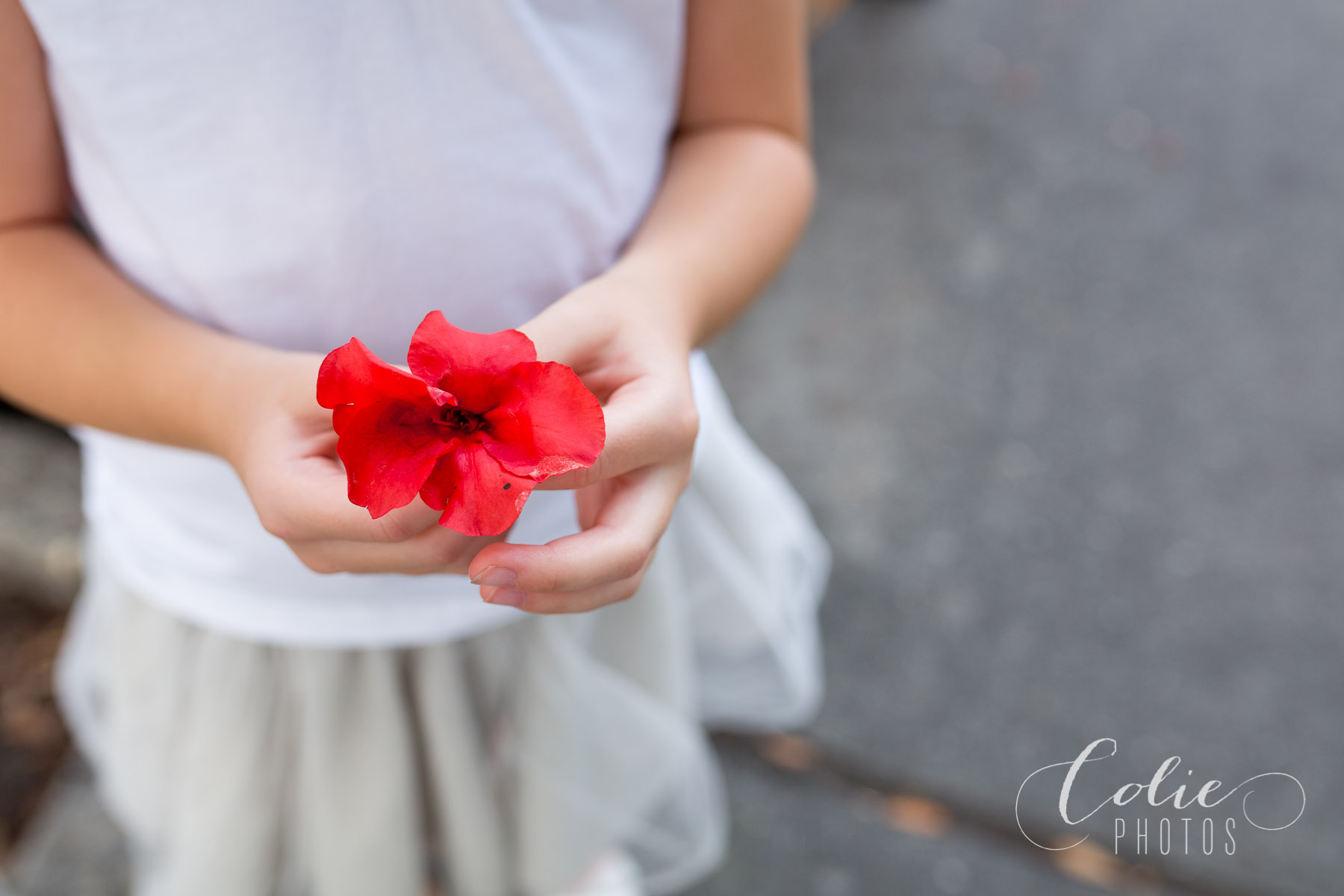 Wilmington NC photographer