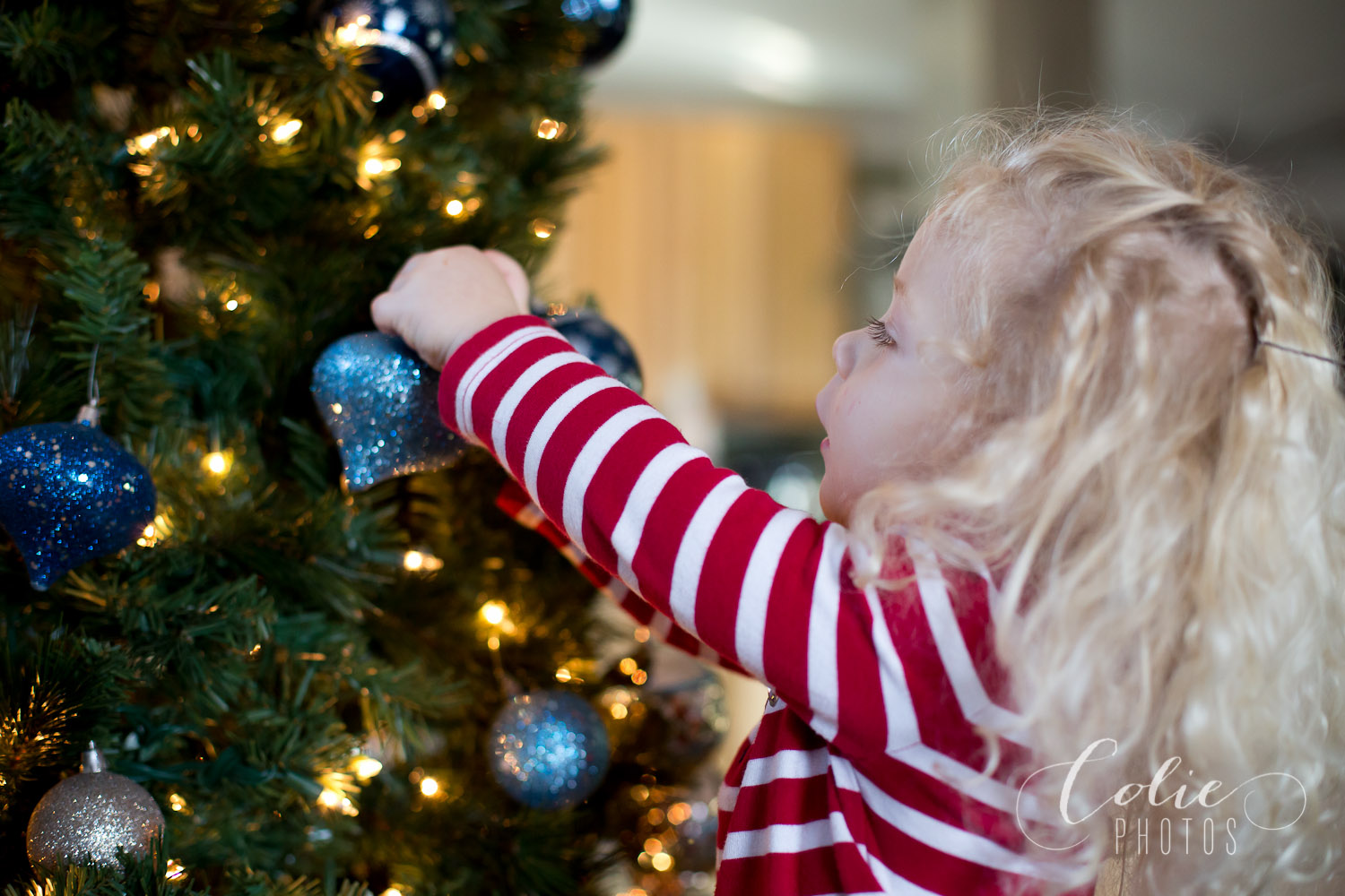 HarkerFamilyPortraits2014-12-104