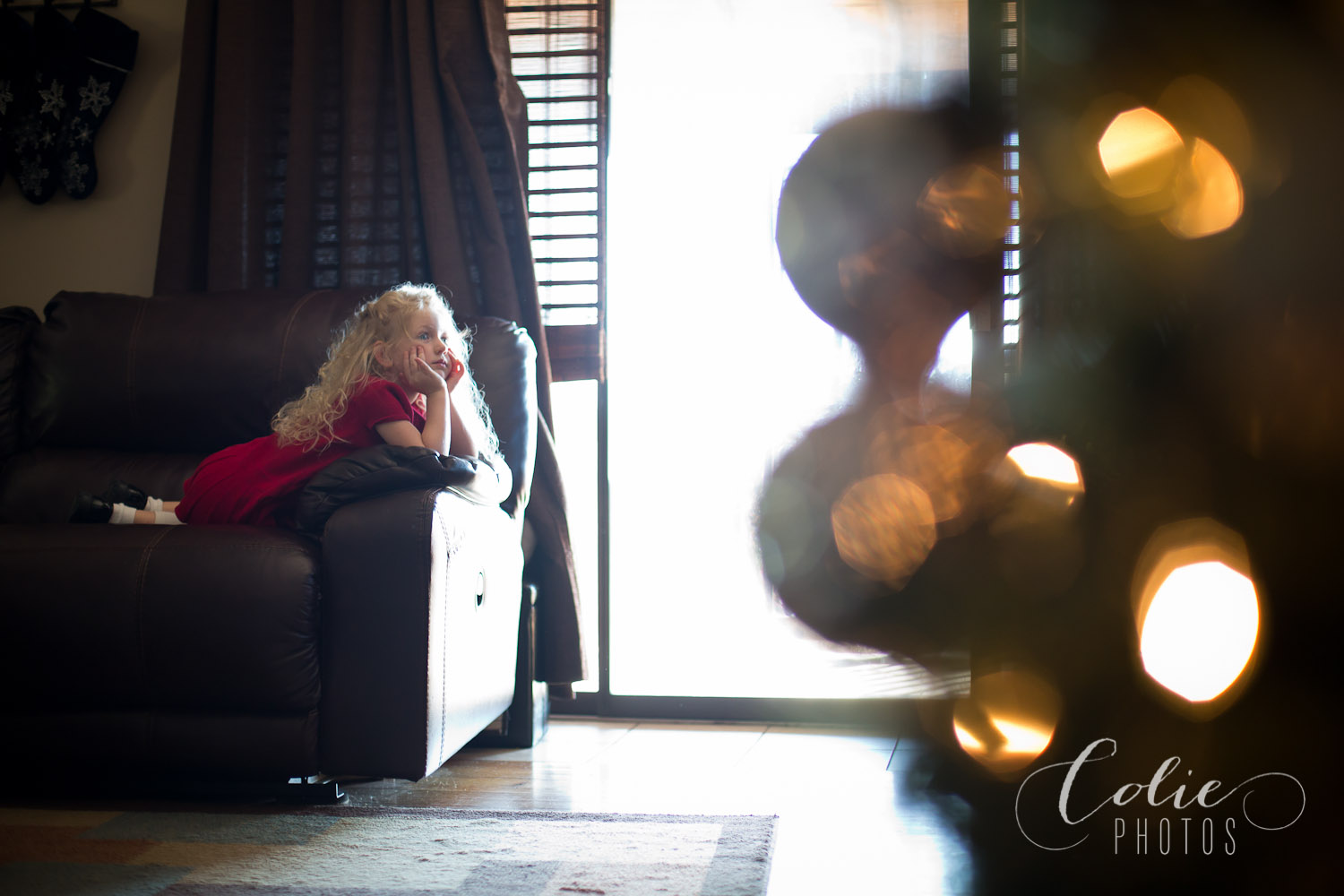 HarkerFamilyPortraits2014-12-5