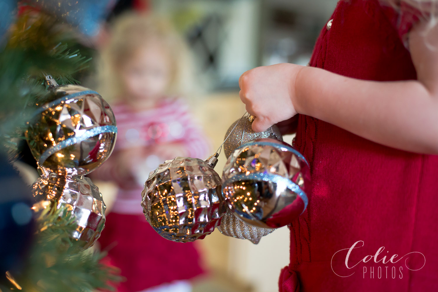 HarkerFamilyPortraits2014-12-98