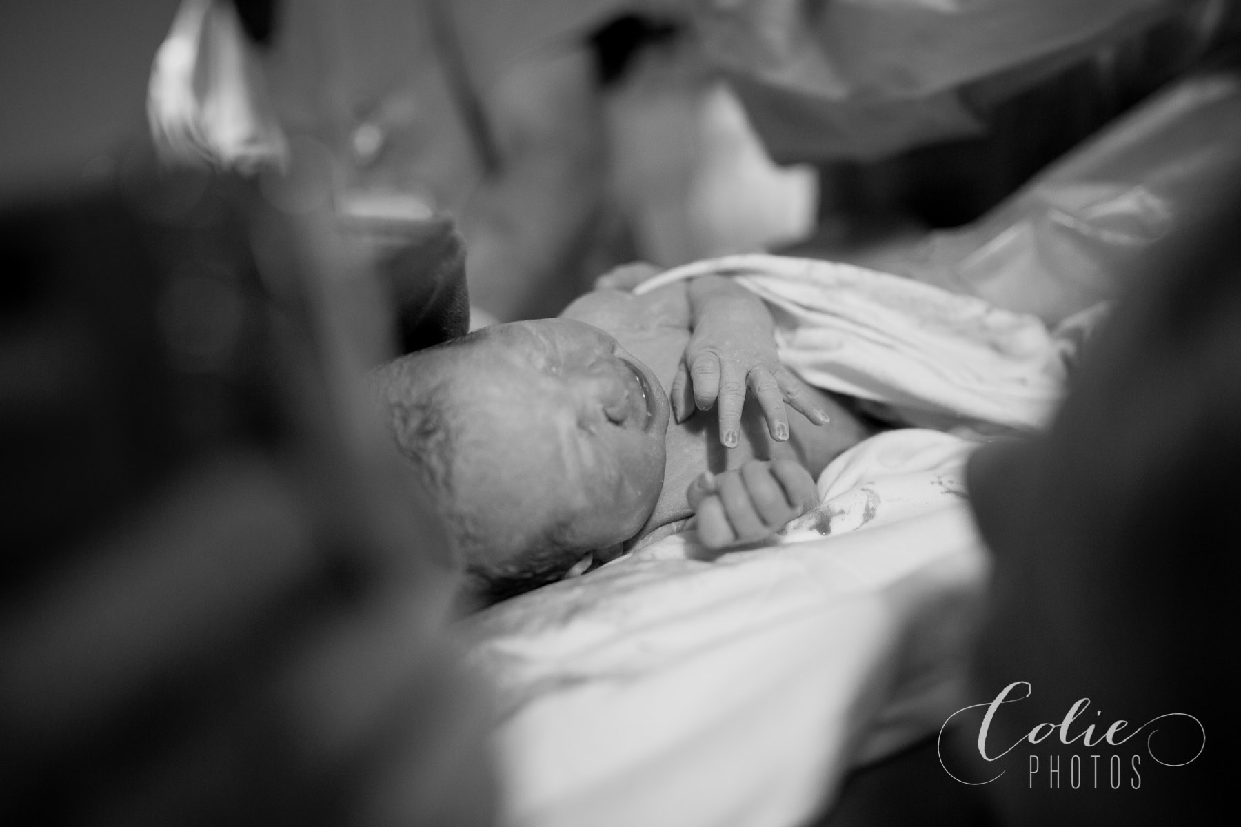Wilmington NC Birth Photographer