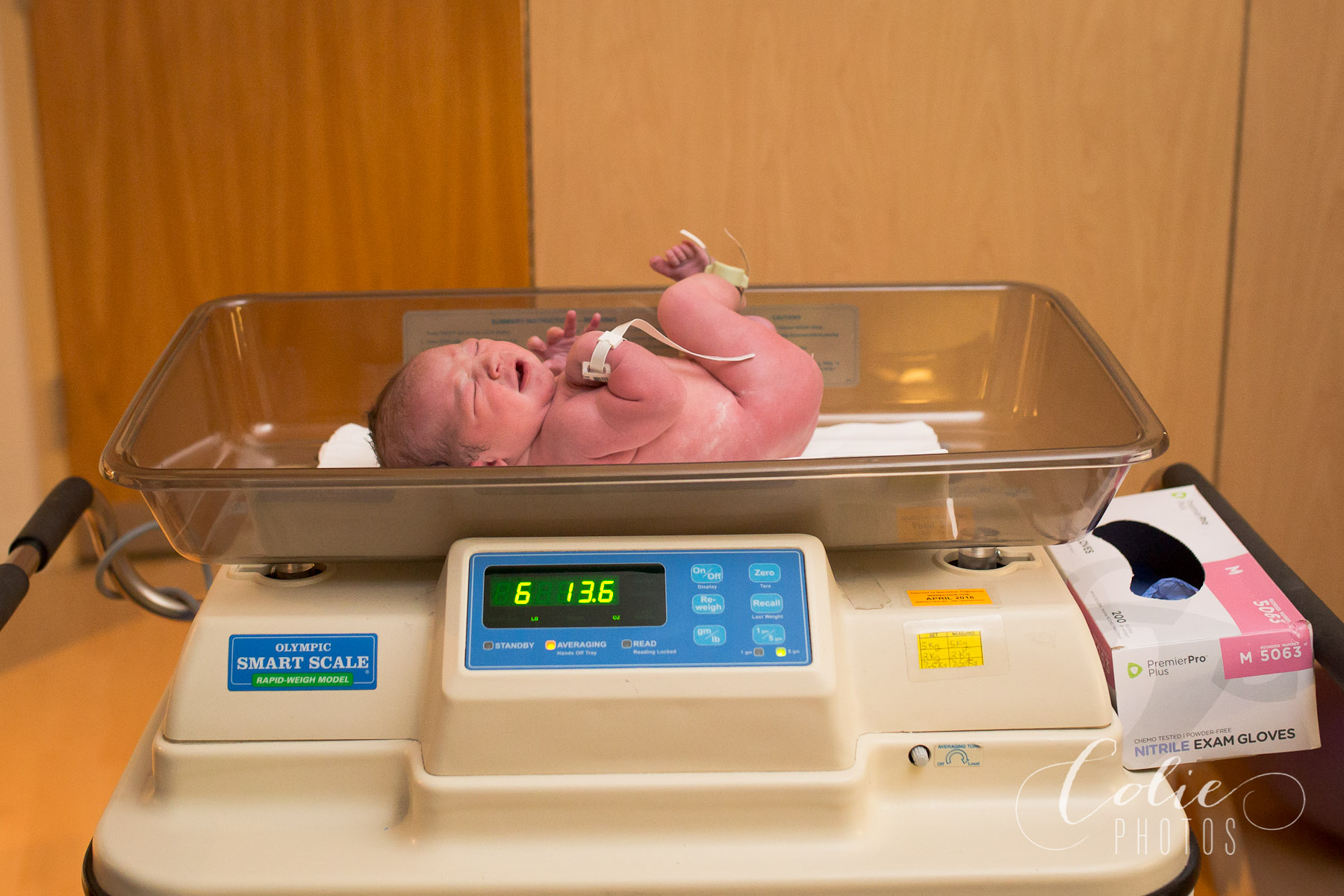 Wilmington NC Birth Photographer