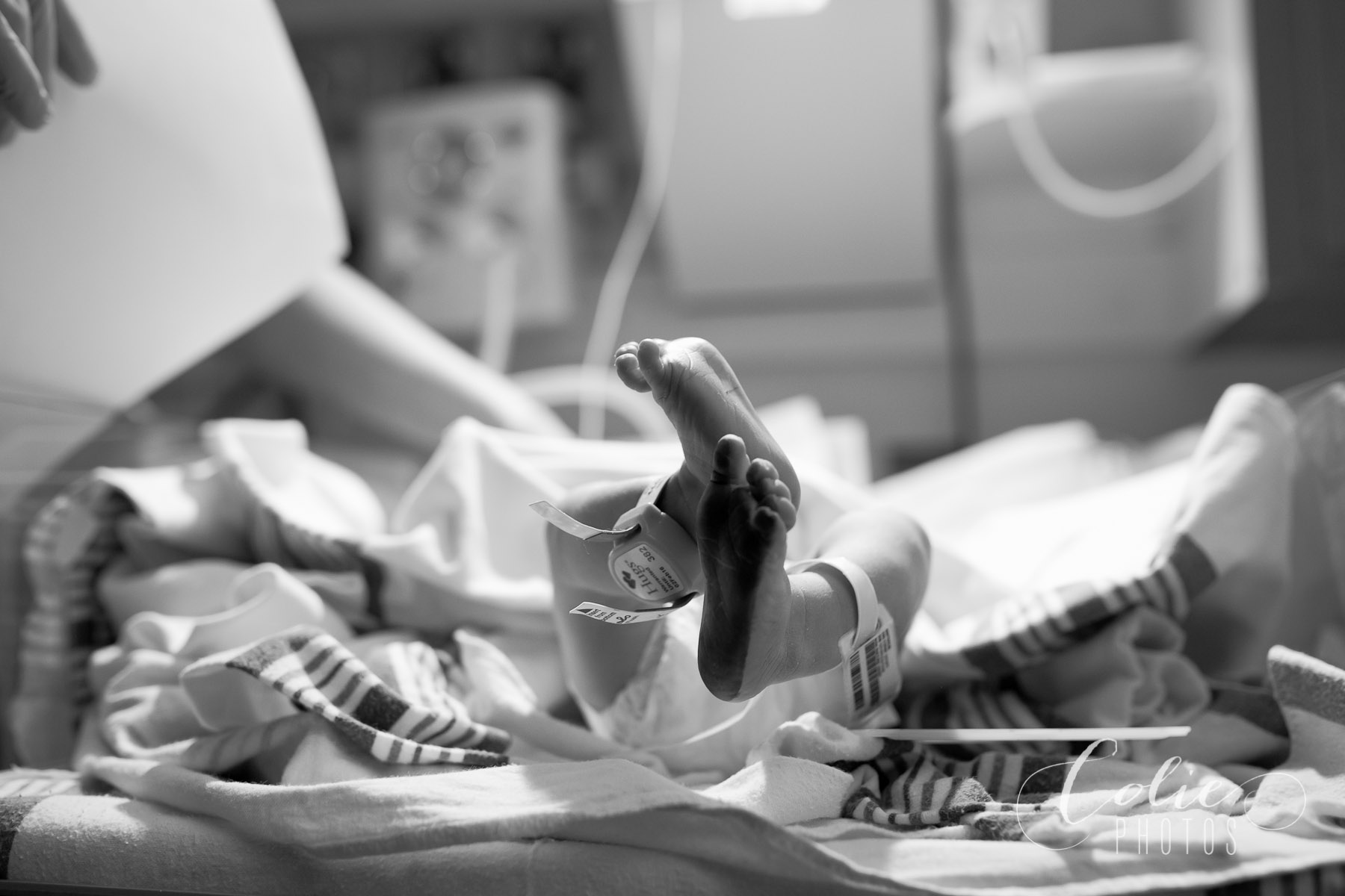 Wilmington NC Birth Photographer