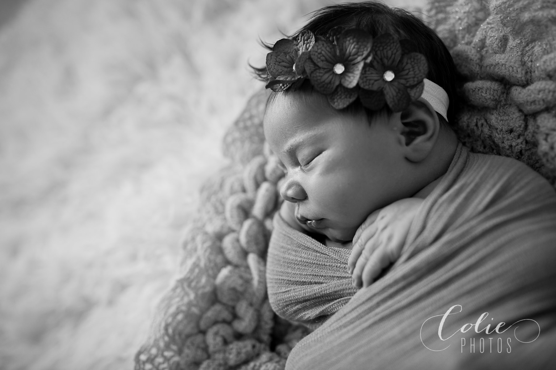 Wilmington NC Photographer-10