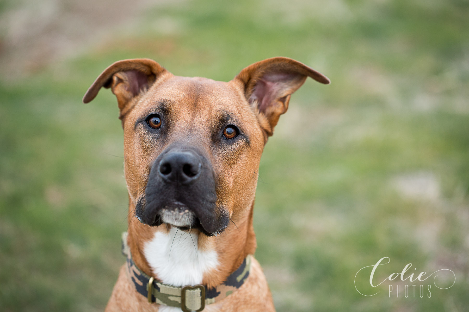 Wilmington NC Photographer-11