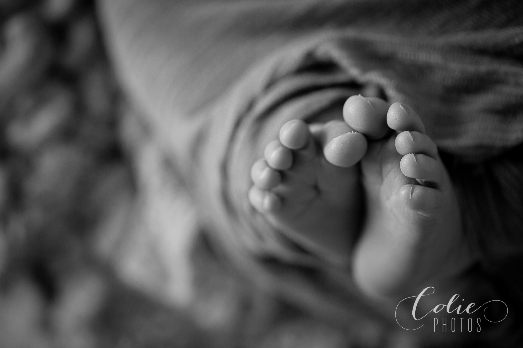 Wilmington NC Photographer-14