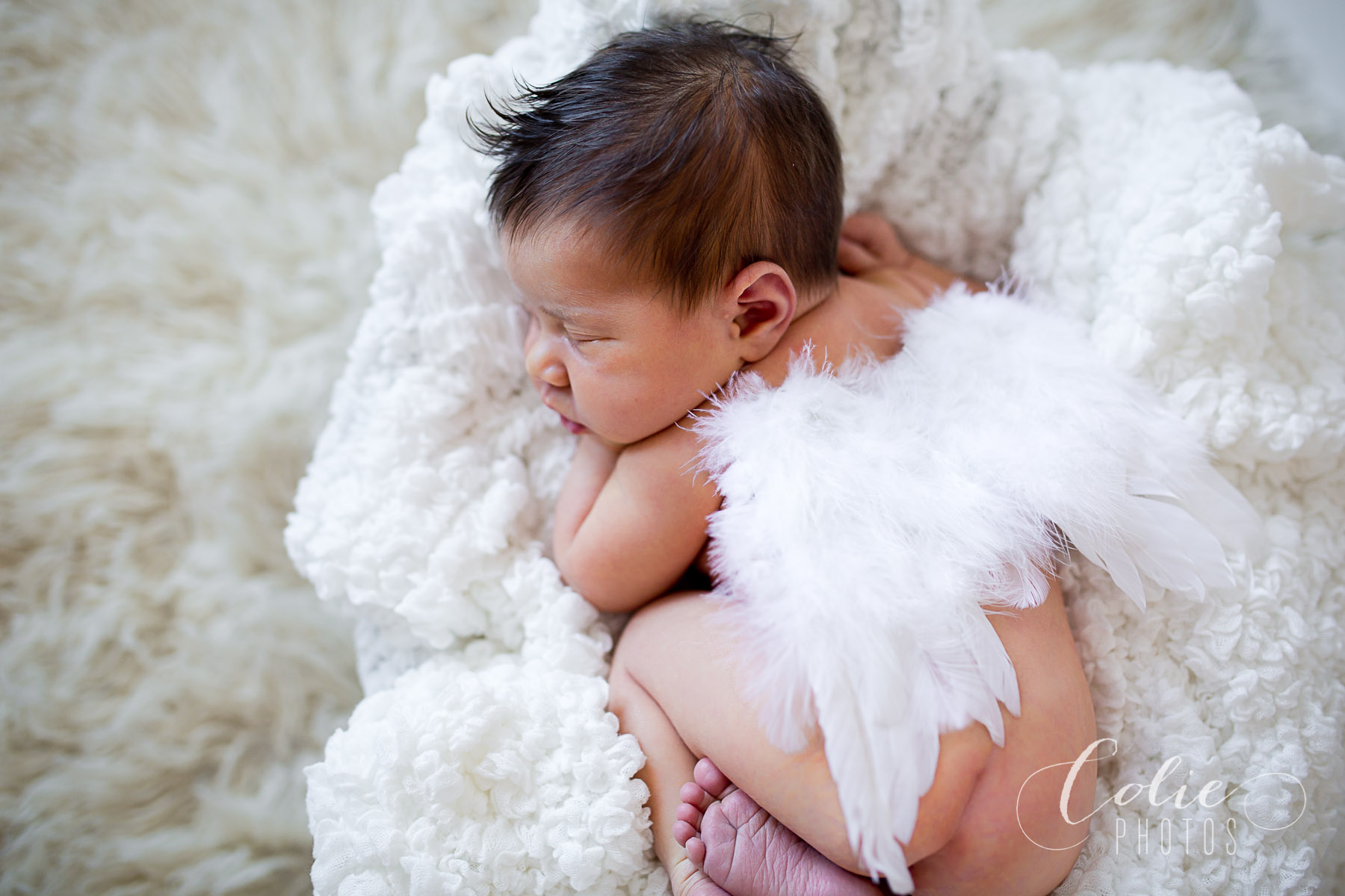 Wilmington NC Photographer-2