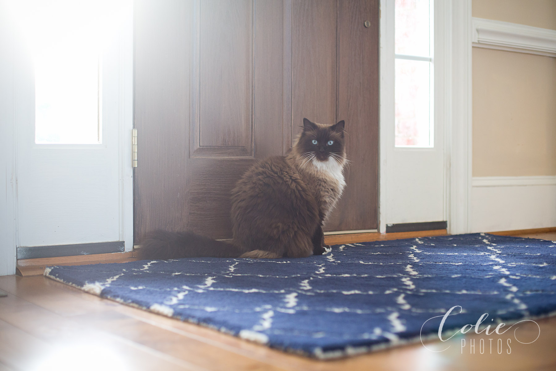 Wilmington NC Photographer-30