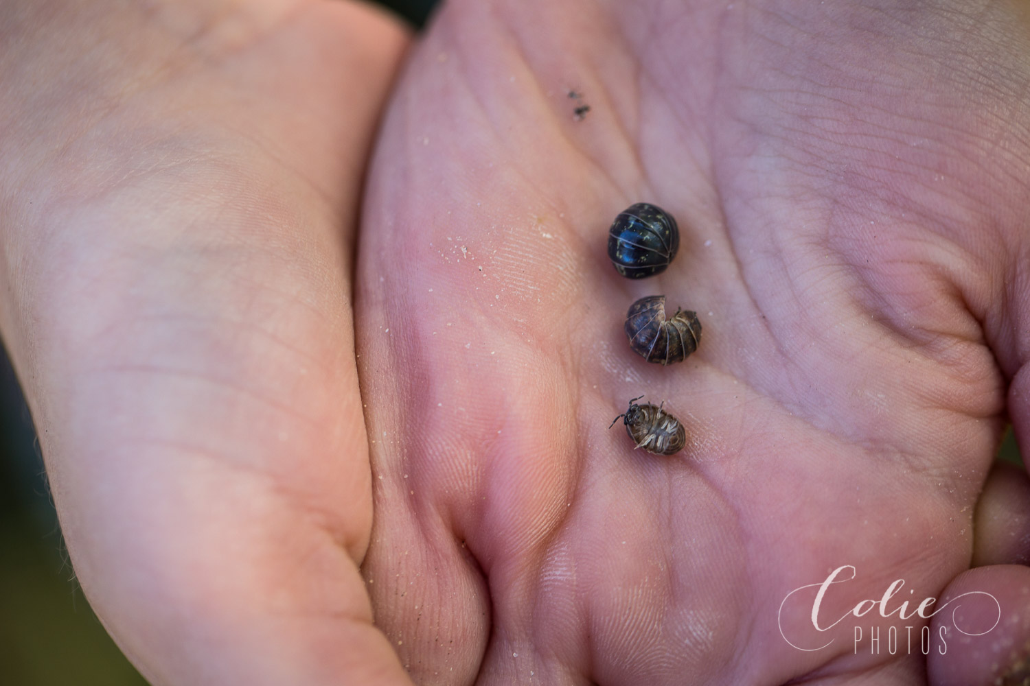 Wilmington NC Lifestyle Photographer-15