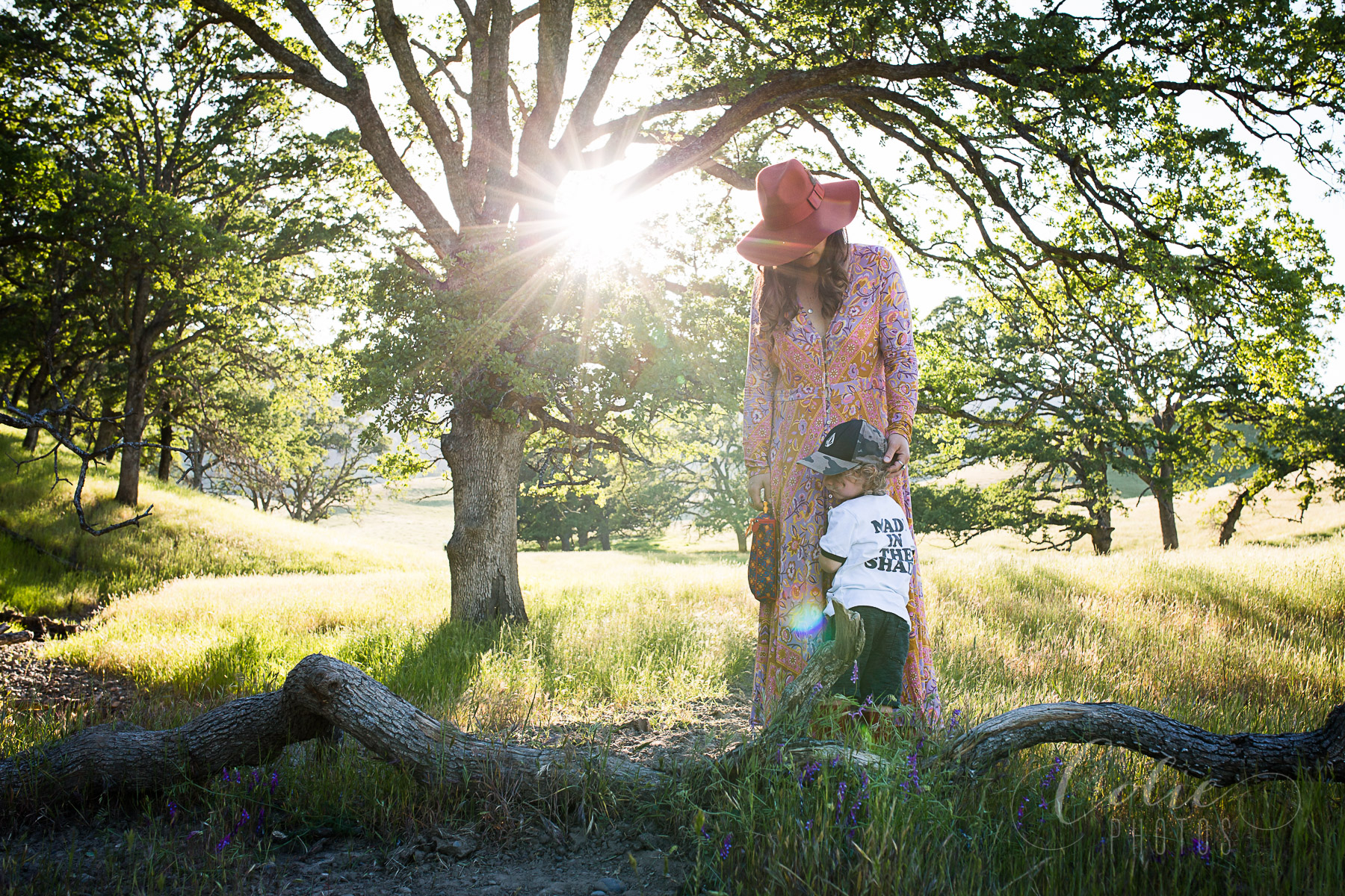 Fairfield CA family photographer