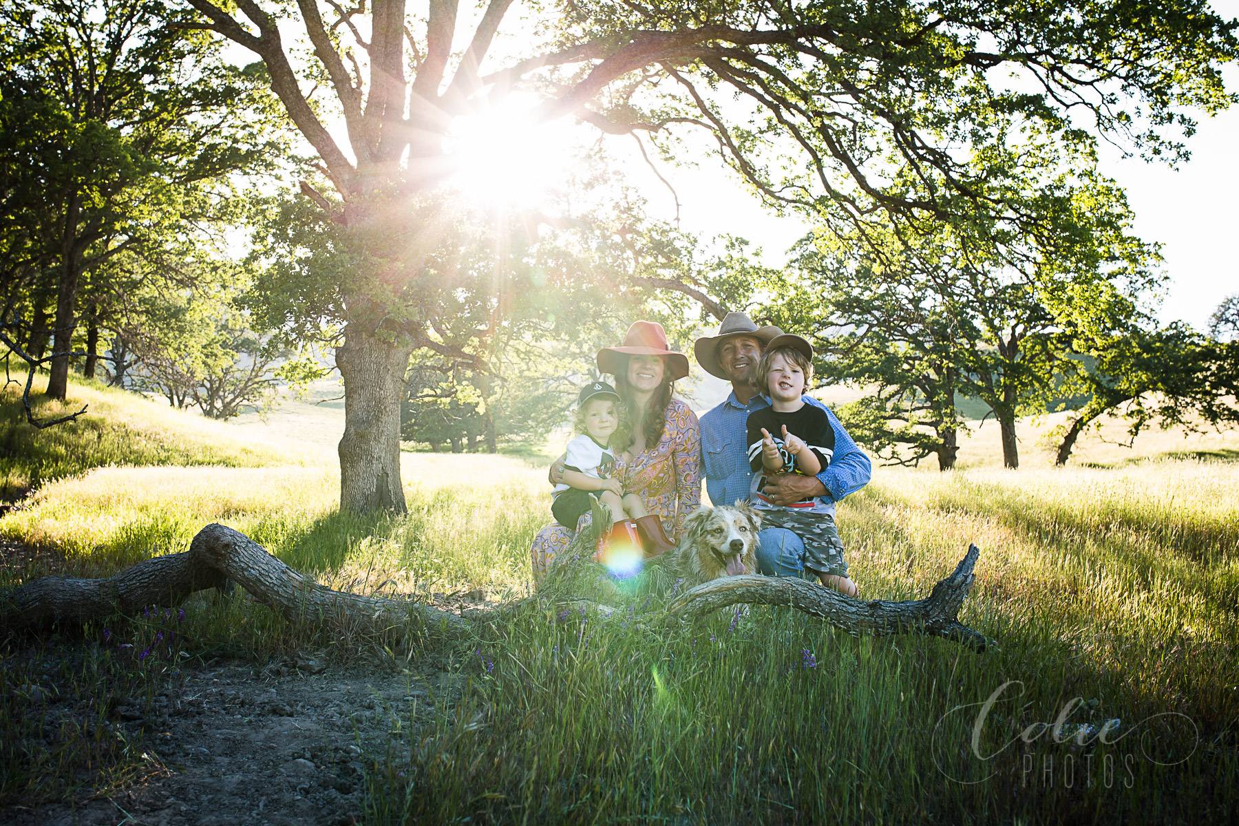 Fairfield CA family photographer