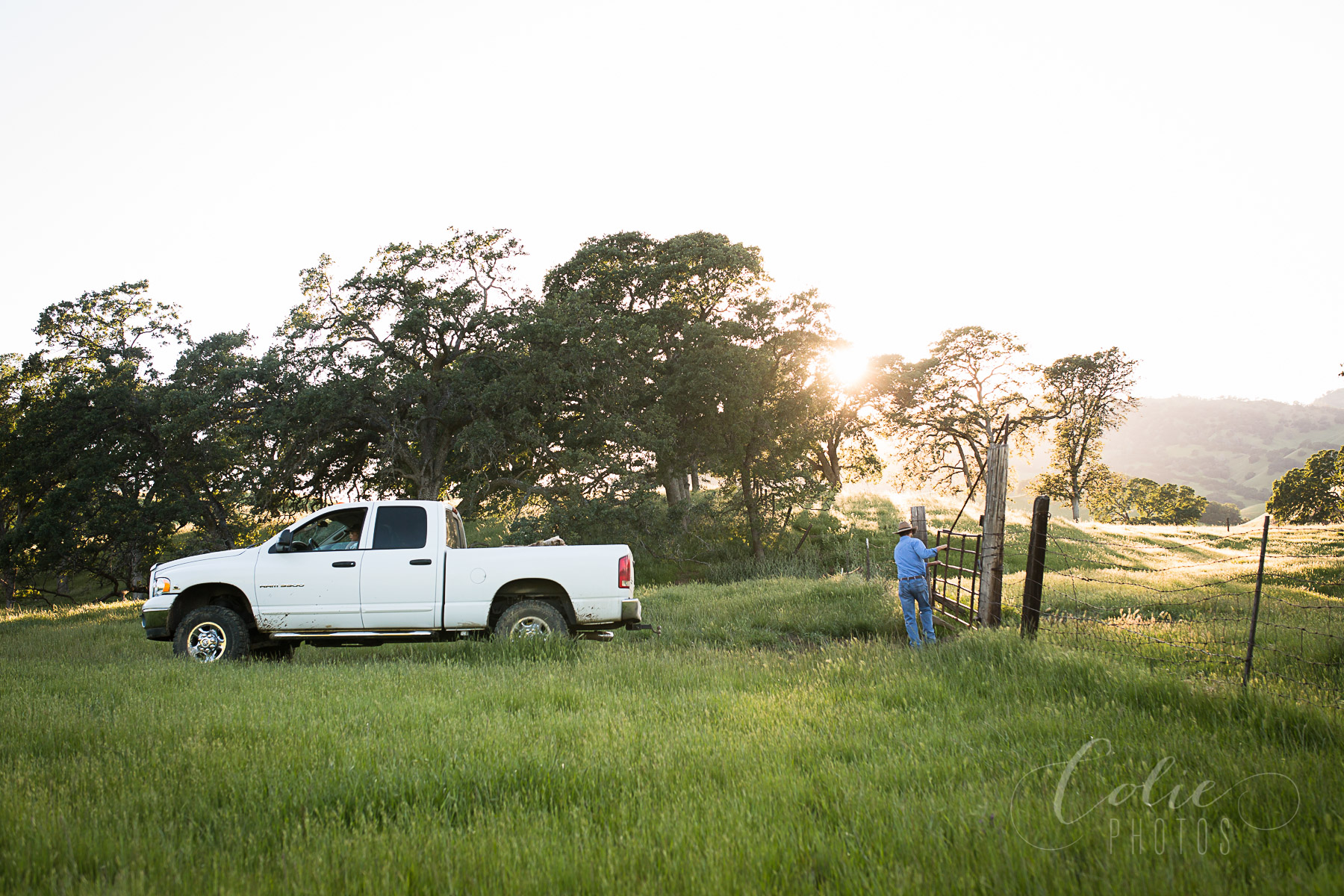 Fairfield CA family photographer
