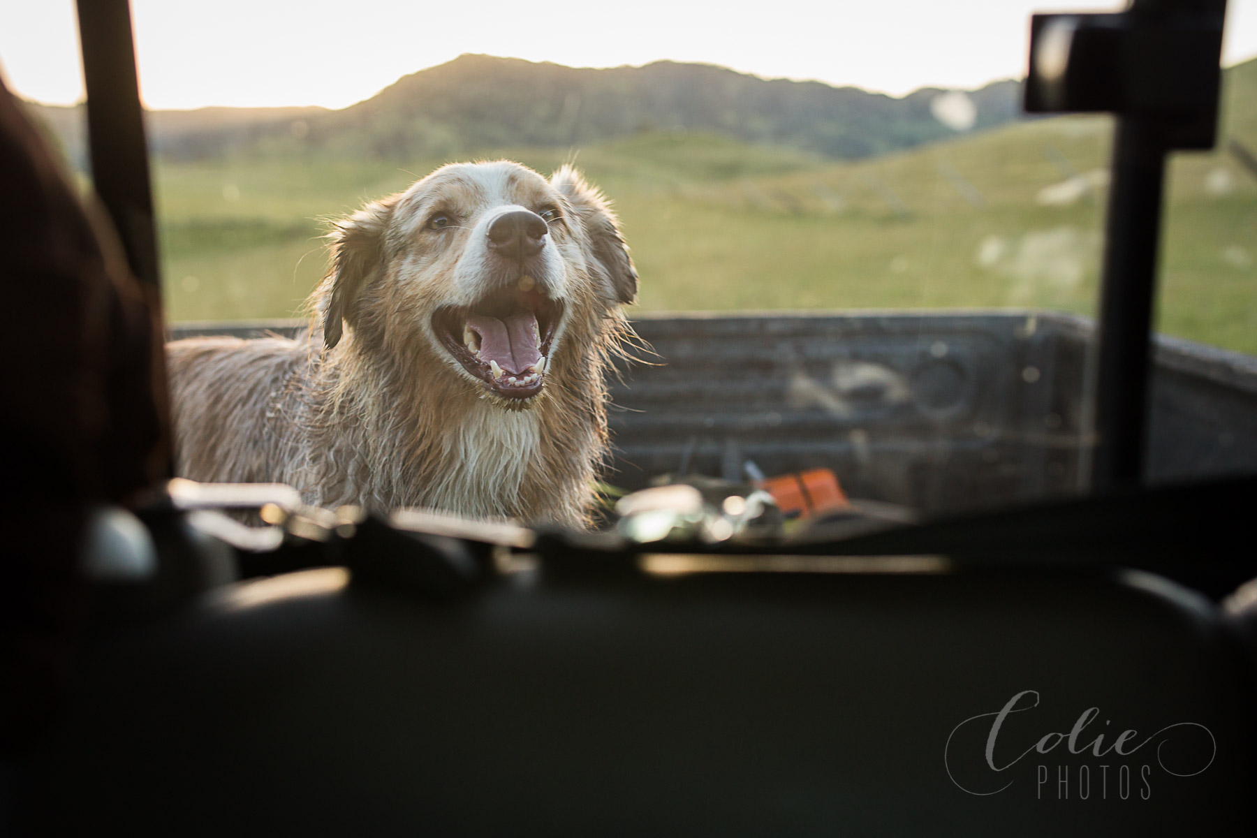 Fairfield CA family photographer