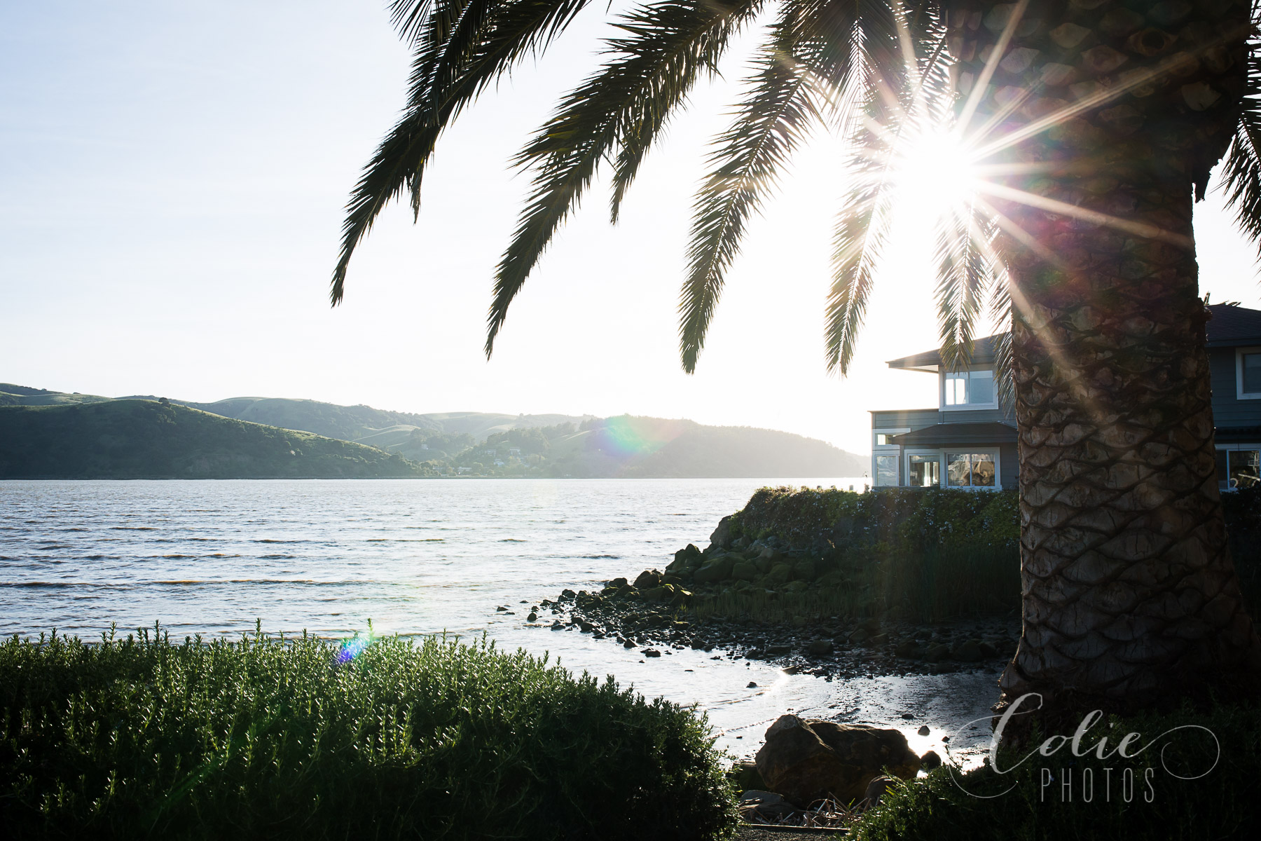 Fairfield CA Photographer